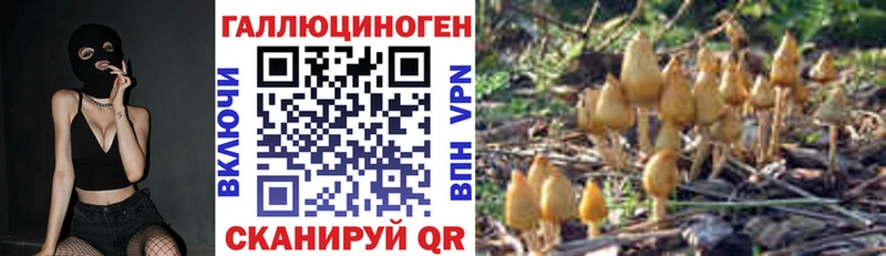 Псилоцибиновые грибы Psilocybe  Купить  Трёхгорный 